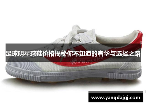 足球明星球鞋价格揭秘你不知道的奢华与选择之路