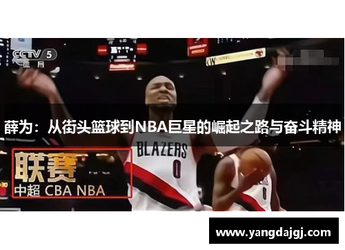薛为：从街头篮球到NBA巨星的崛起之路与奋斗精神