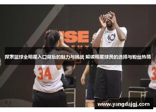 探索篮球全明星入口背后的魅力与挑战 解读明星球员的选择与粉丝热情