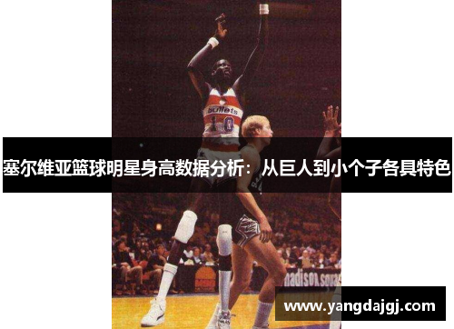 塞尔维亚篮球明星身高数据分析：从巨人到小个子各具特色