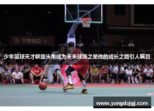 少年篮球天才崭露头角成为未来球场之星他的成长之路引人瞩目
