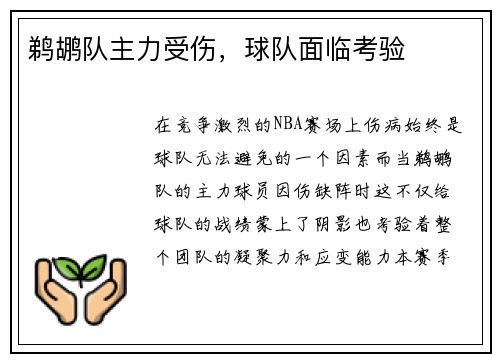 鹈鹕队主力受伤，球队面临考验